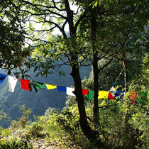 drapeaux tibétains